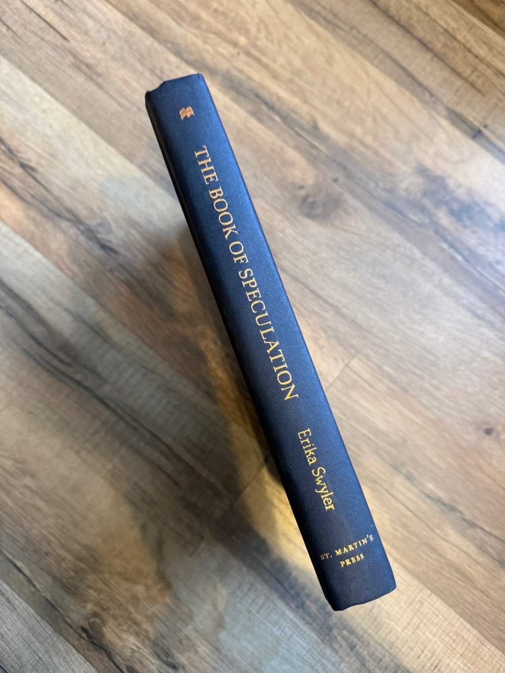 The Book of Speculation by Erika Swyler